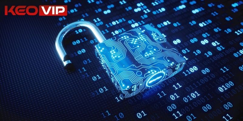 Nắm vững điều khoản để tham gia mượt mà