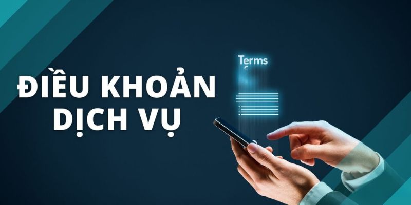 Mục đích đặt ra điều khoản và điều kiện