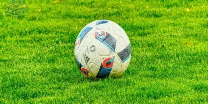 Flashscore là gì? Flashscore là gì?